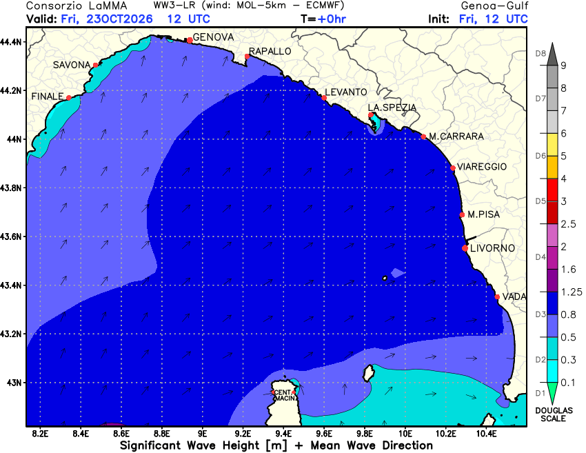 Altezza dell'onda, previsione ora per ora
