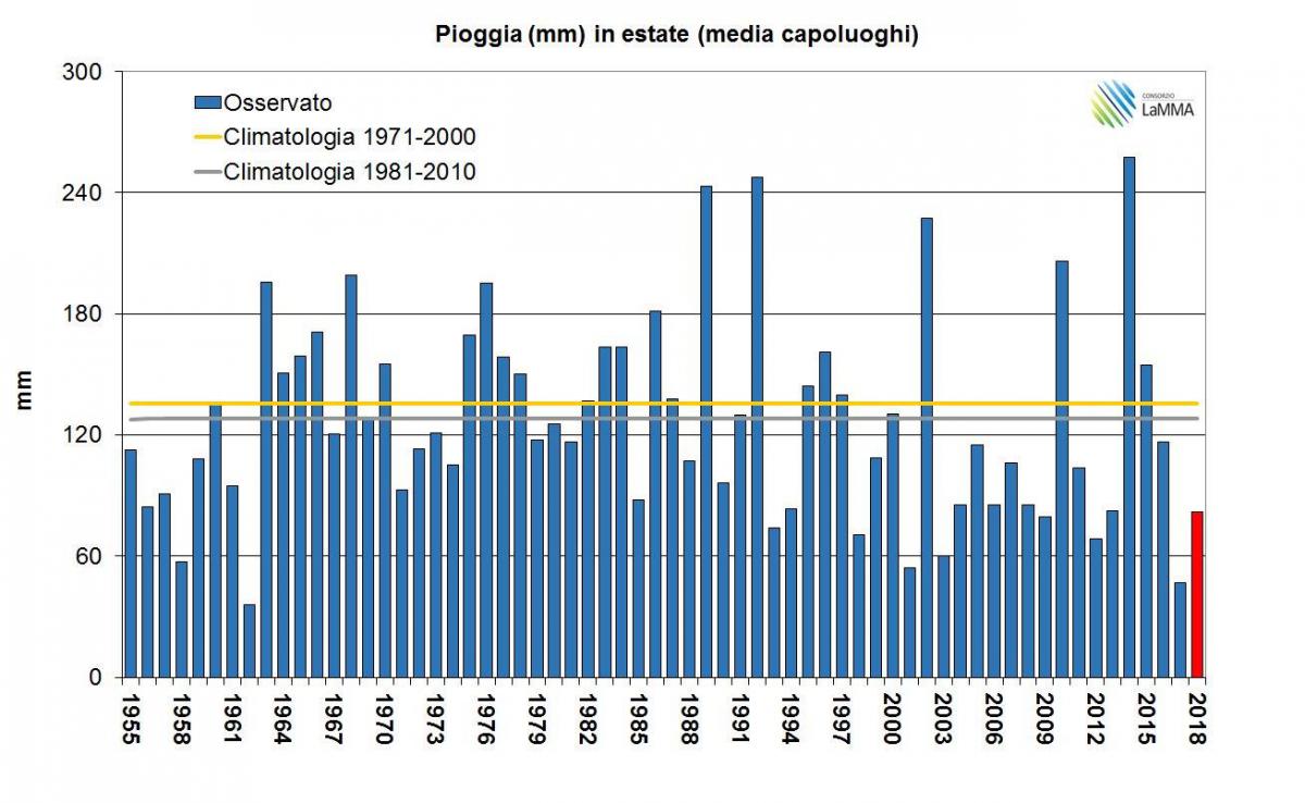 Piogge estate serie temporale 1955-2018