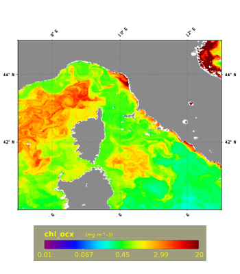 Mappa Clorofilla