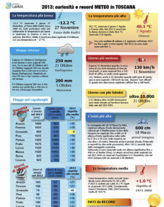 infografica 2013