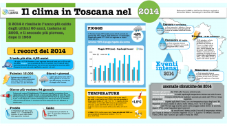 Infografica 2014