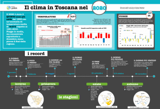 infografica 2020