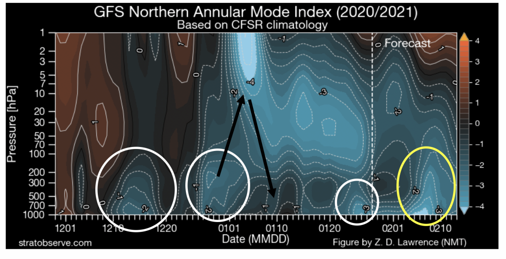 stratwarming AO gennaio 2021