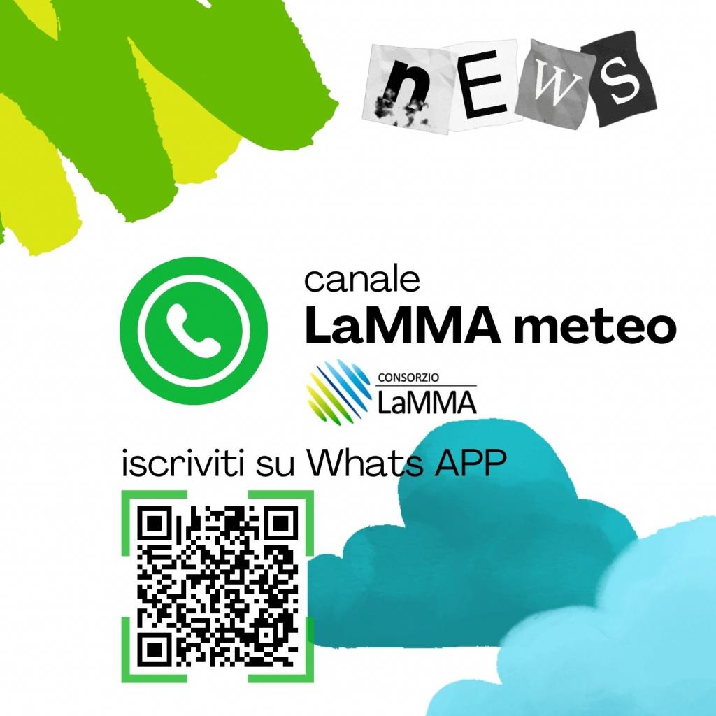 canale whatsAPP