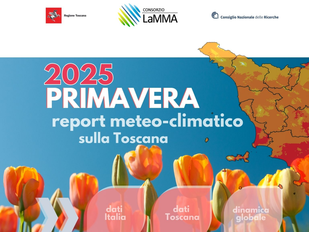 report primavera 2025