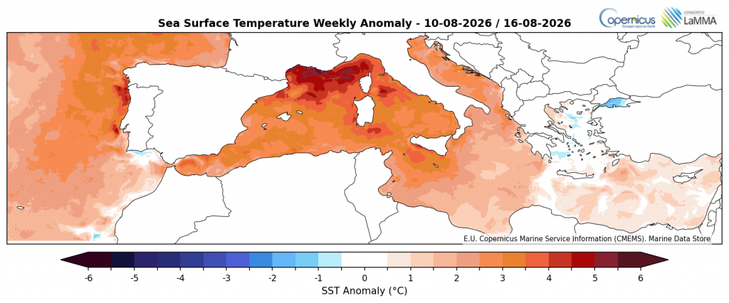 SST copernicus 16 agosto 